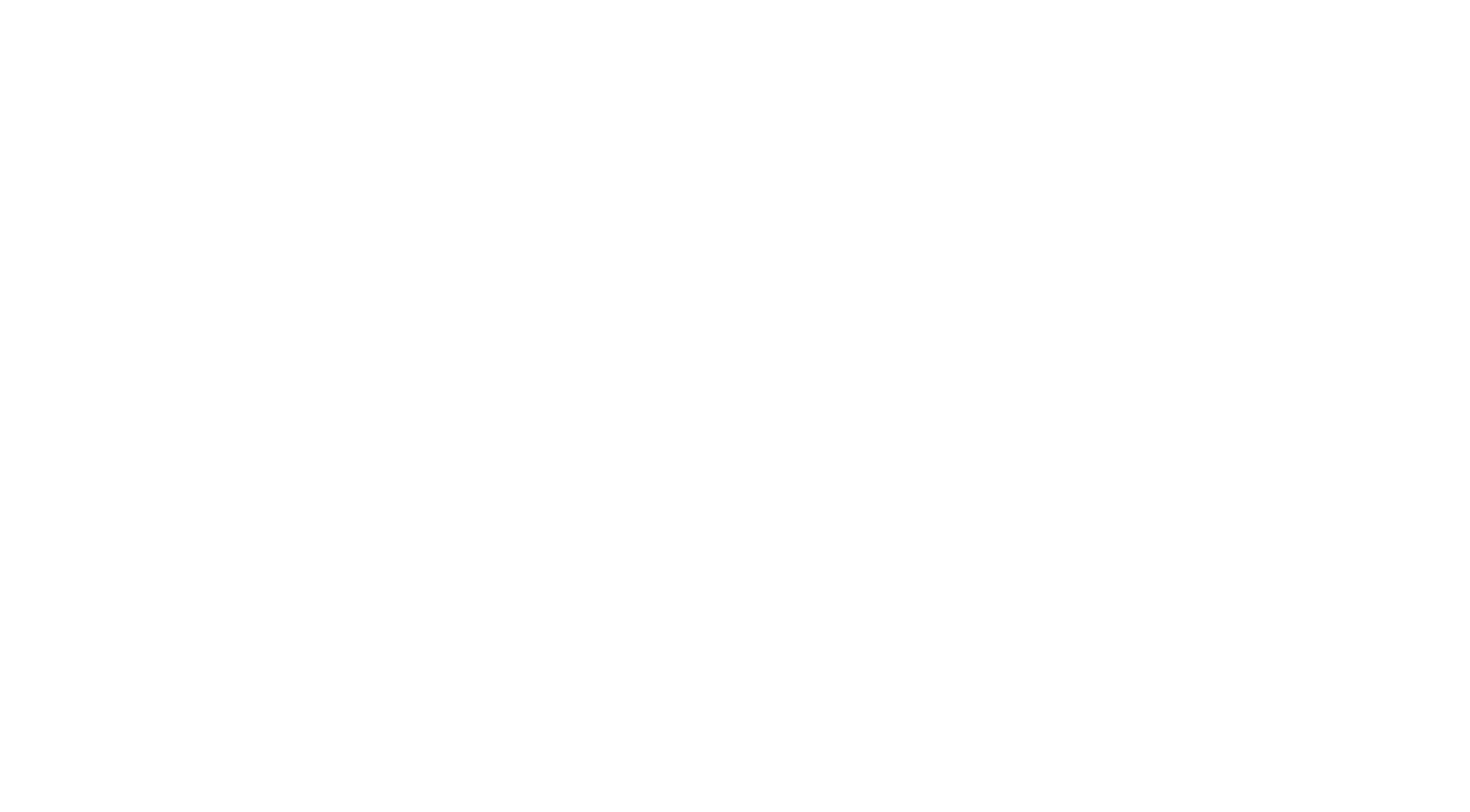Anoosh store